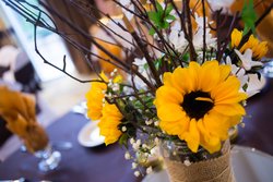  - Holiday Inn SeaWorld Northwest San Antonio