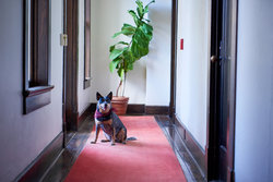  - Hotel Havana Riverwalk San Antonio