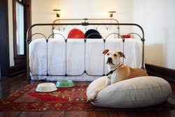  - Hotel Havana Riverwalk San Antonio