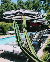  - Hotel St Cecilia Austin