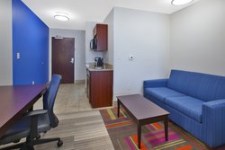  - Holiday Inn Express & Suites Niles