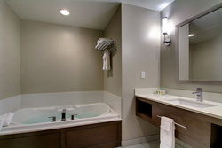  - Holiday Inn Grand Prairie Peoria