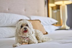  - Brown Palace Hotel & Spa Denver