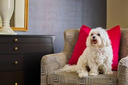  - Brown Palace Hotel & Spa Denver