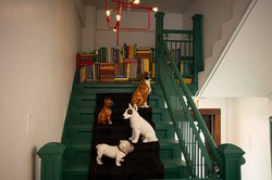  - Hotel Indigo Downtown Madison