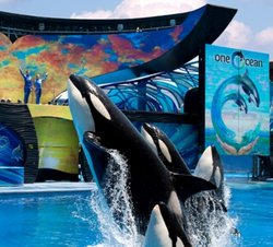  - Holiday Inn Express SeaWorld San Diego - I-5, Exits 23 & 23A