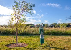  - Candlewood Suites Georgetown