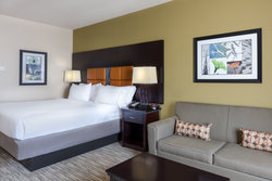  - Holiday Inn Express & Suites West Dallas - I-30, Exit 39