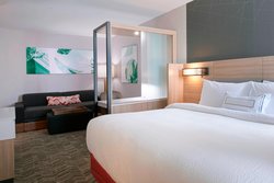  - SpringHill Suites by Marriott East Lansing - I-496, Exit 9