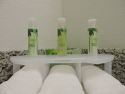  - Holiday Inn Express & Suites Montgomery