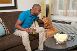  - Candlewood Suites North Little Rock - I-40, Exit 156