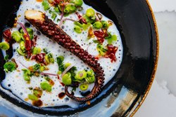  - Kimpton Hotel Arras Asheville - I-240, Exit 5A