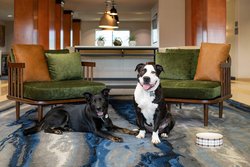  - Fairfield Inn & Suites by Marriott Redding