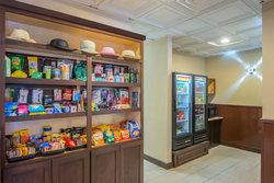  - Holiday Inn Express Central El Paso - I-10, Exit 19