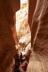  - Candlewood Suites Northwest Craig