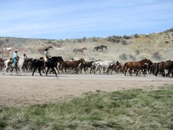  - Candlewood Suites Northwest Craig