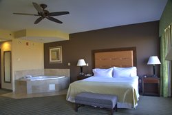  - Holiday Inn Trustmark Park Pearl - I-20, Exit 47