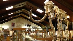  - Holiday Inn McMurry Park East Casper