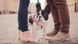  - Hotel Indigo Atlanta