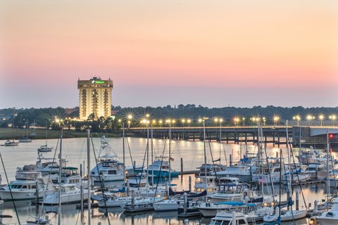 View from the Ashley River