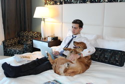  - Hotel Indigo Waco - I-35, Exit 335B