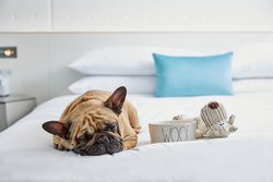  - Renaissance Hotel Southpark Charlotte