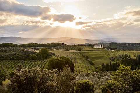 Dawn Over The Tuscan Landscape