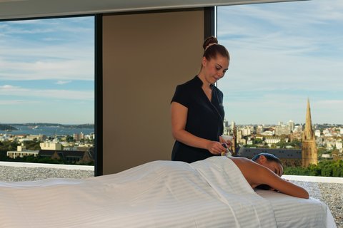 SHERATON GRAND SYDNEY HYDE PRK - Photo 89