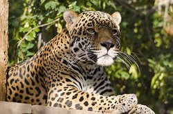  - Holiday Inn Express & Suites Airport Phoenix