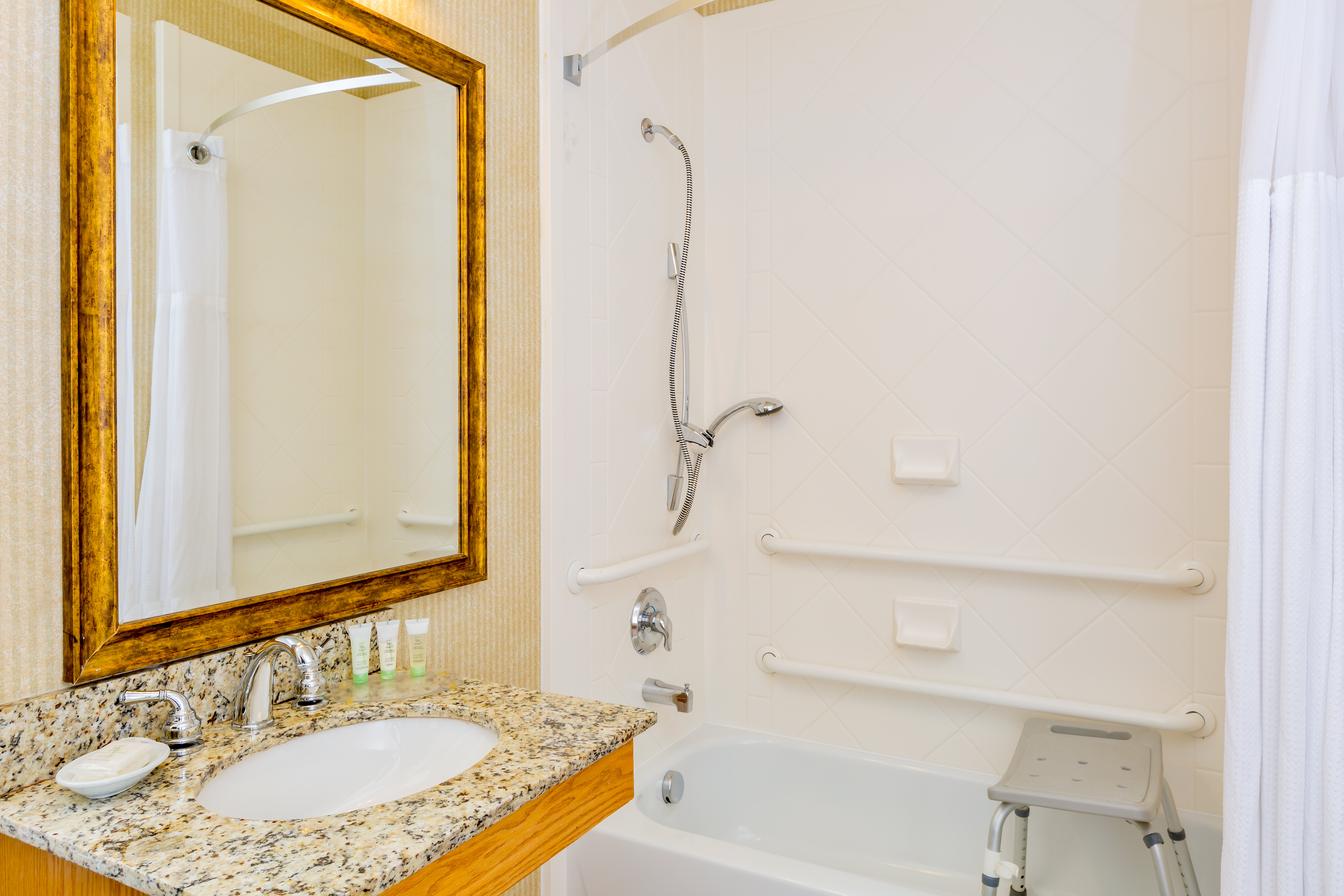 ADA/Handicapped accessible Guest Bath with transfer tub