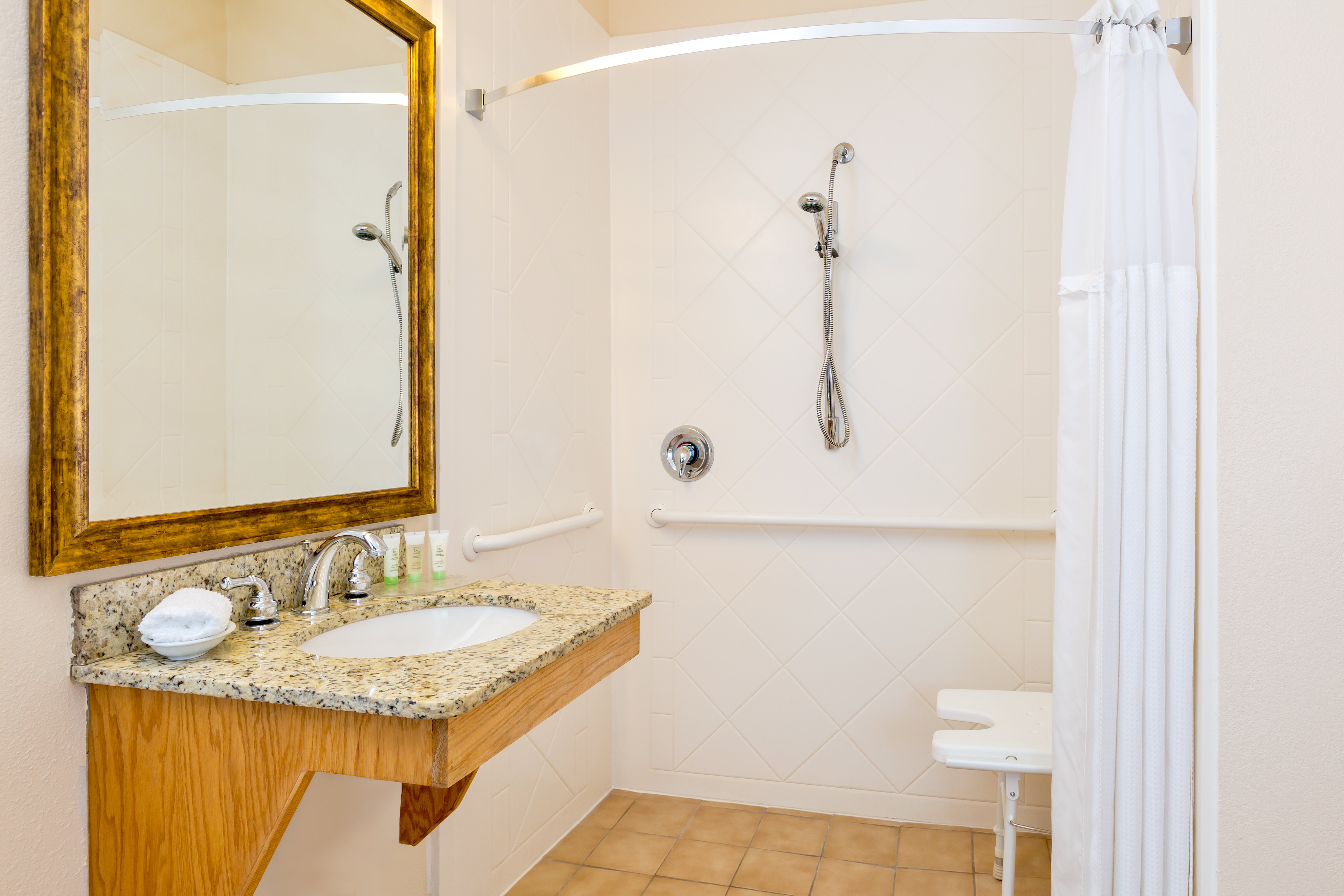 Wheelchair accessible Guest Bath withroll-in shower