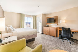  - SpringHill Suites by Marriott Denton - I-35, Exit 465A