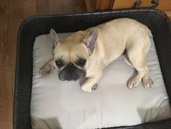  - Holiday Inn Express & Suites Bowmanville