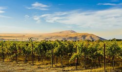  - Holiday Inn Express & Suites Union Gap