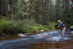  - Holiday Inn Express & Suites Fraser