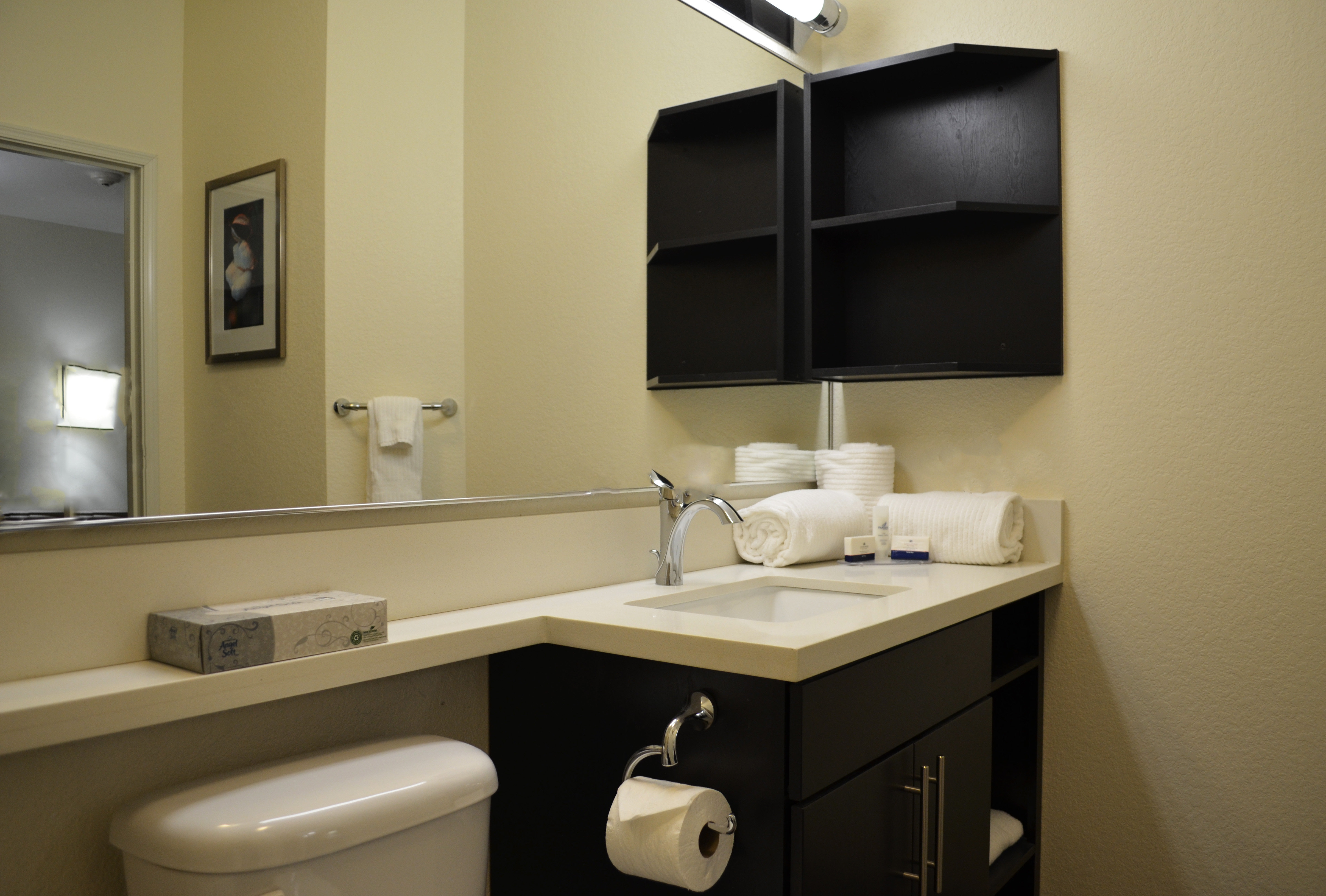 CANDLEWOOD SUITES GREENVILLE BY IHG-guestroom-Guest Bathroom with complimentary soap, shampoo, and conditioner..jpg