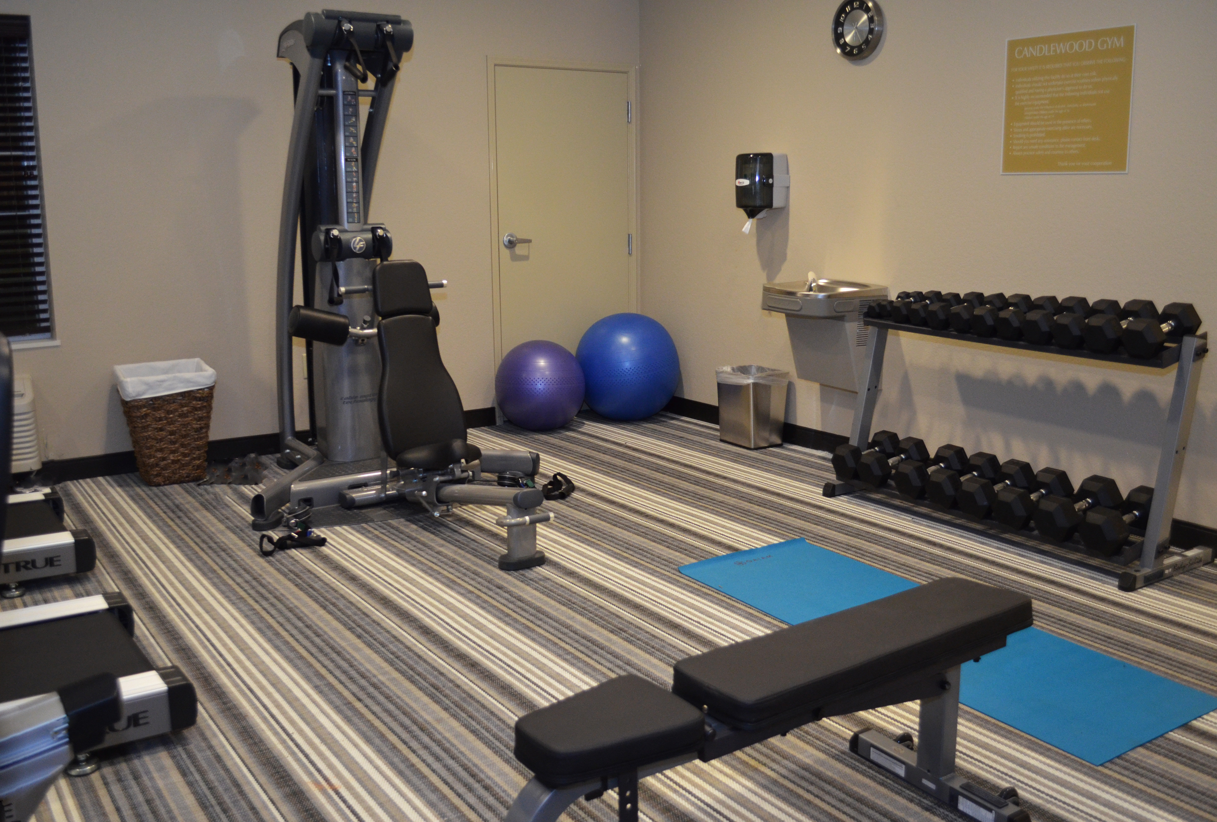 CANDLEWOOD SUITES GREENVILLE BY IHG-guestroom-We offer a deluxe weight machine and free weights for our guests. .jpg