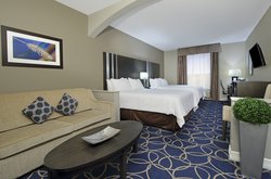  - Holiday Inn Express & Suites Bush Airport Houston - I-45, Exit 60A