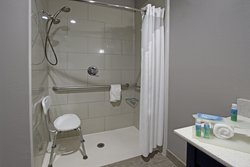  - Holiday Inn Express & Suites Bush Airport Houston - I-45, Exit 60A
