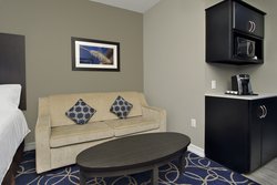  - Holiday Inn Express & Suites Bush Airport Houston - I-45, Exit 60A