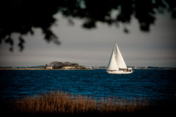  - Staybridge Suites North Charleston - I-26, Exit 209