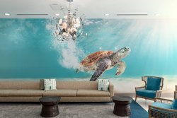  - SpringHill Suites by Marriott Bradenton