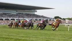  - Holiday Inn Express & Suites Riverwoods