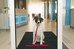  - Holiday Inn Express & Suites Rantoul - I-57, Exit 250