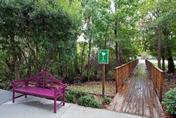  - Holiday Inn Express & Suites North Charleston - I-26, Exit 209