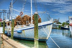  - Holiday Inn Express & Suites Trinity