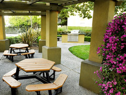  - Larkspur Landing Hotel Sunnyvale