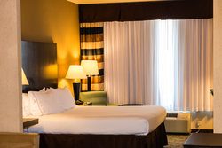  - Holiday Inn Express & Suites Beltway Houston