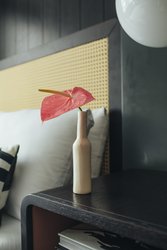  - Hotel Renew Honolulu