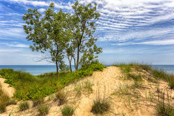  - Staybridge Suites Schererville